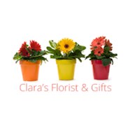 Claras Flowers and Gifts 1068426 Image 1